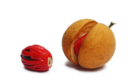 A double delight: nutmeg and mace – two spices from a single source.