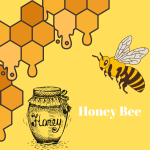 Honey Bee